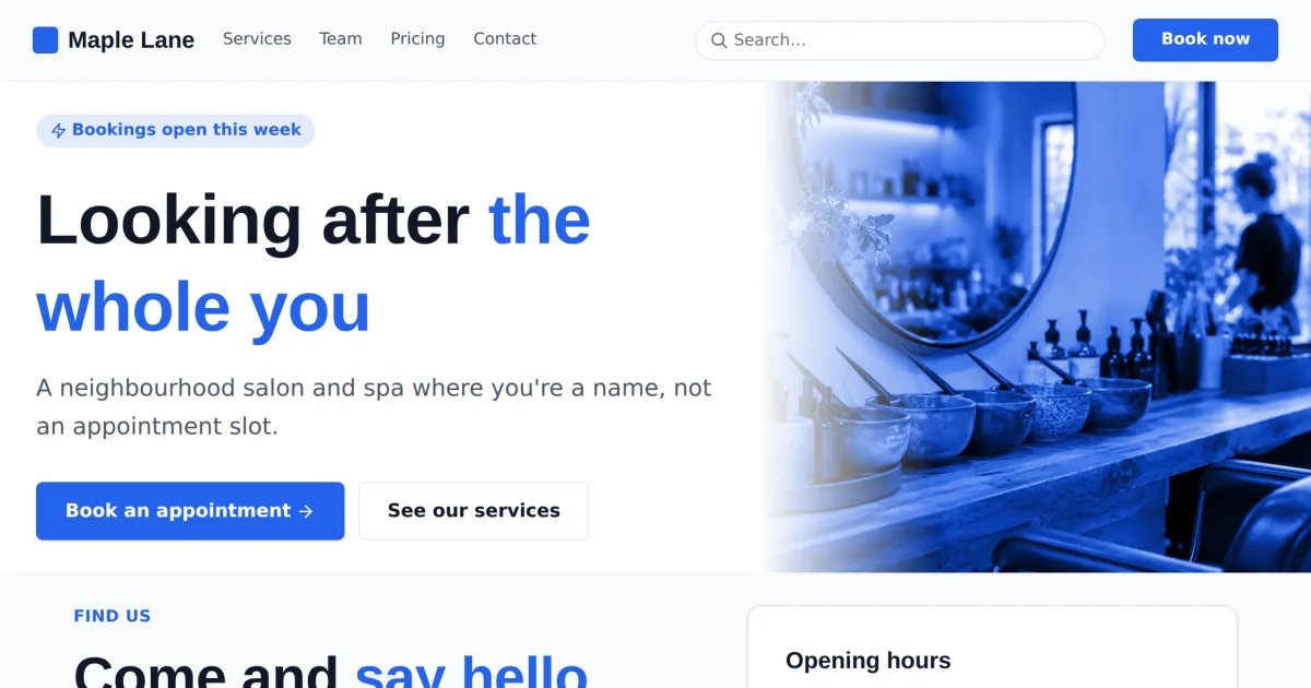 Local Visit &mdash; Local Business visit page template preview